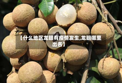 【什么地区龙眼有疫情发生,龙眼哪里出名】-第2张图片