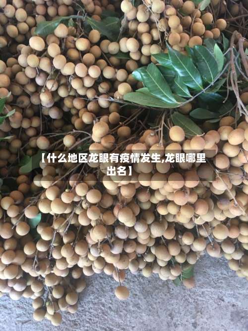 【什么地区龙眼有疫情发生,龙眼哪里出名】-第1张图片