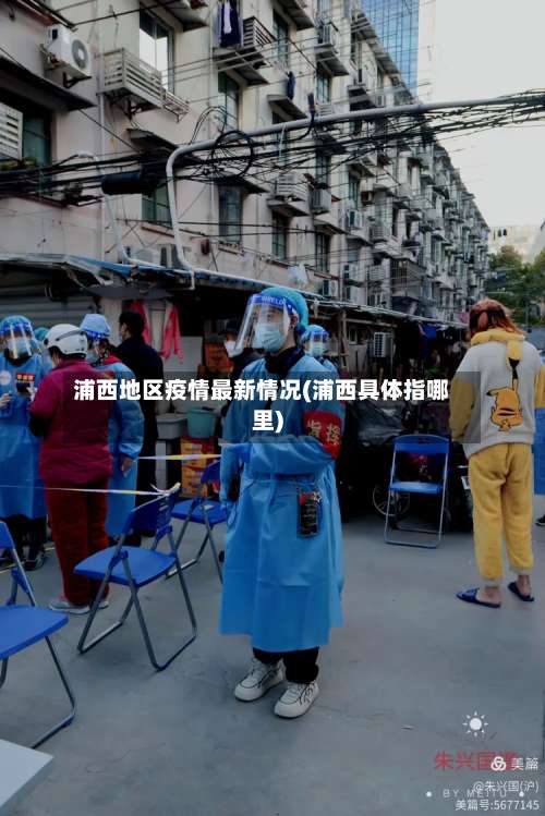 浦西地区疫情最新情况(浦西具体指哪里)-第1张图片