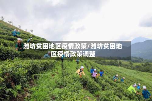 潍坊贫困地区疫情政策/潍坊贫困地区疫情政策调整-第3张图片