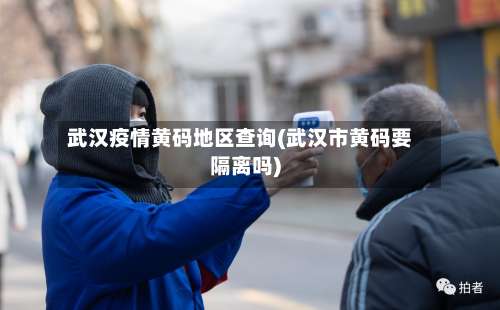 武汉疫情黄码地区查询(武汉市黄码要隔离吗)-第3张图片