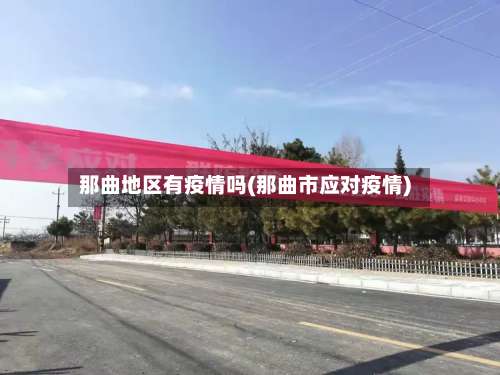 那曲地区有疫情吗(那曲市应对疫情)-第2张图片