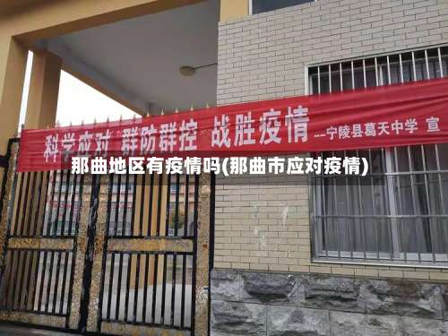 那曲地区有疫情吗(那曲市应对疫情)-第1张图片