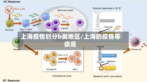 上海疫情划分b类地区/上海的疫情等级是-第1张图片