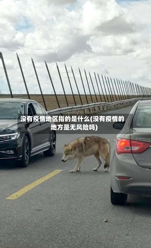 没有疫情地区指的是什么(没有疫情的地方是无风险吗)-第1张图片