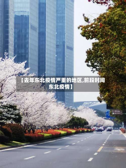 【去年东北疫情严重的地区,前段时间东北疫情】-第1张图片