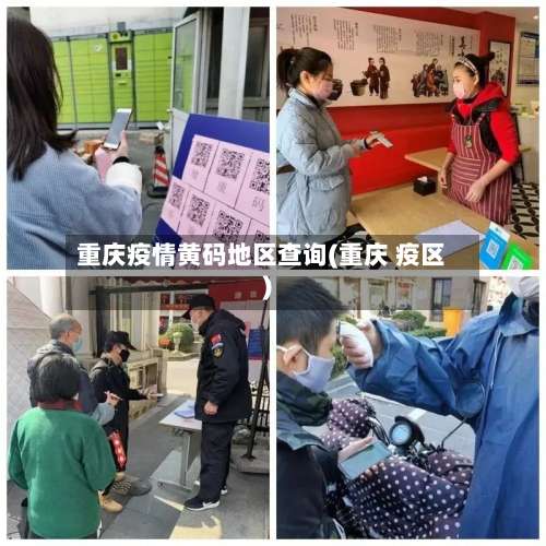 重庆疫情黄码地区查询(重庆 疫区)-第2张图片