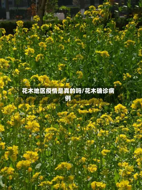 花木地区疫情是真的吗/花木确诊病例-第1张图片
