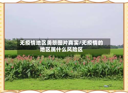 无疫情地区美景图片真实/无疫情的地区属什么风险区-第2张图片