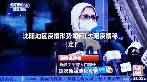 沈阳地区疫情形势如何(沈阳疫情稳定)-第1张图片