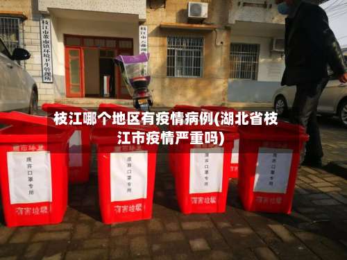 枝江哪个地区有疫情病例(湖北省枝江市疫情严重吗)-第1张图片