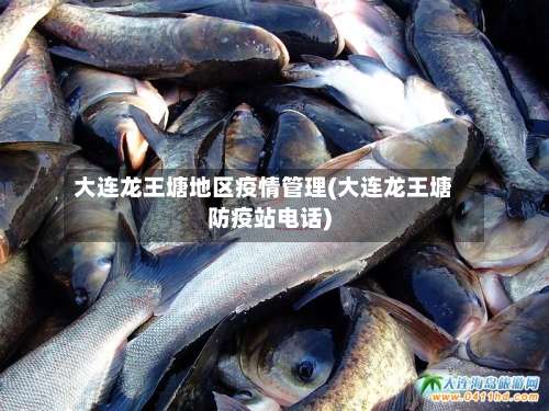 大连龙王塘地区疫情管理(大连龙王塘防疫站电话)-第1张图片
