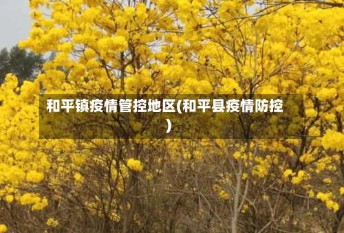 和平镇疫情管控地区(和平县疫情防控)-第1张图片
