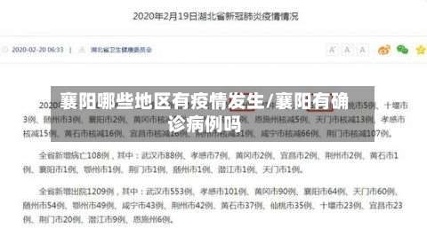 襄阳哪些地区有疫情发生/襄阳有确诊病例吗-第1张图片
