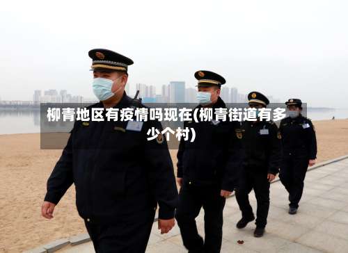 柳青地区有疫情吗现在(柳青街道有多少个村)-第2张图片