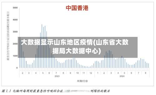 大数据显示山东地区疫情(山东省大数据局大数据中心)-第1张图片