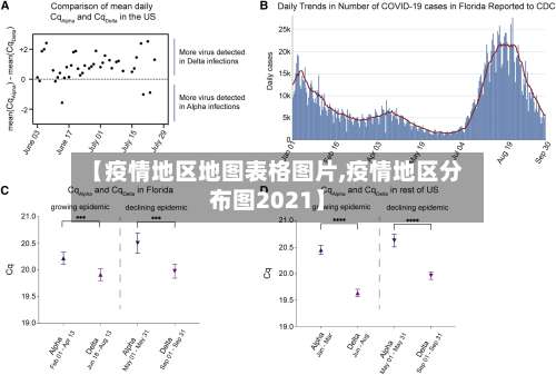 【疫情地区地图表格图片,疫情地区分布图2021】-第3张图片