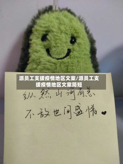 派员工支援疫情地区文案/派员工支援疫情地区文案简短-第3张图片