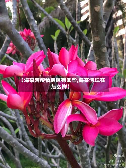 【海棠湾疫情地区有哪些,海棠湾现在怎么样】-第2张图片
