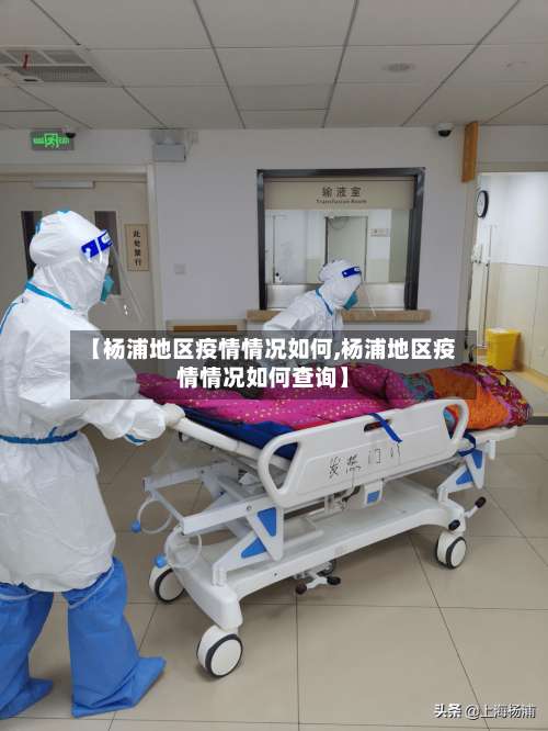 【杨浦地区疫情情况如何,杨浦地区疫情情况如何查询】-第1张图片