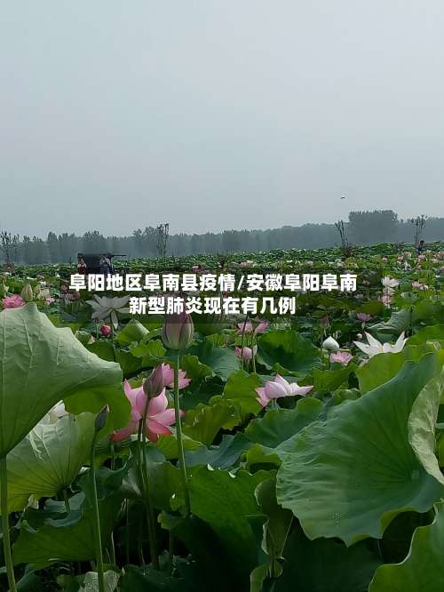 阜阳地区阜南县疫情/安徽阜阳阜南新型肺炎现在有几例-第2张图片