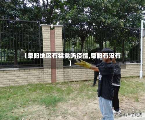 【阜阳地区有猛禽吗疫情,阜阳有没有】-第2张图片