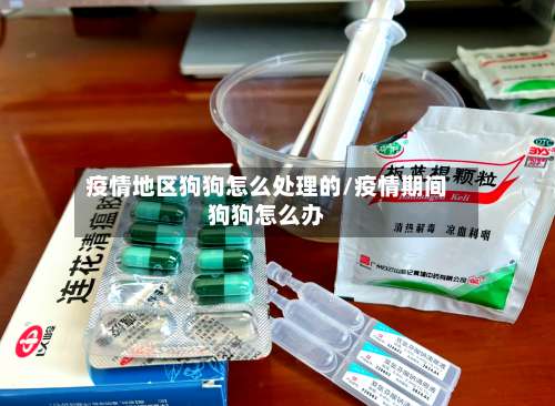 疫情地区狗狗怎么处理的/疫情期间狗狗怎么办-第2张图片