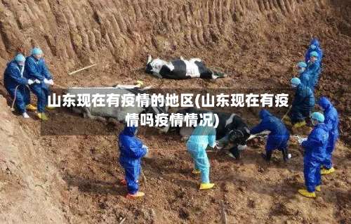 山东现在有疫情的地区(山东现在有疫情吗疫情情况)-第1张图片