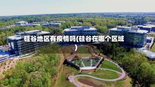 硅谷地区有疫情吗(硅谷在哪个区域)-第1张图片