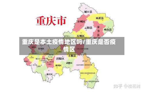 重庆是本土疫情地区吗/重庆是否疫情区-第3张图片