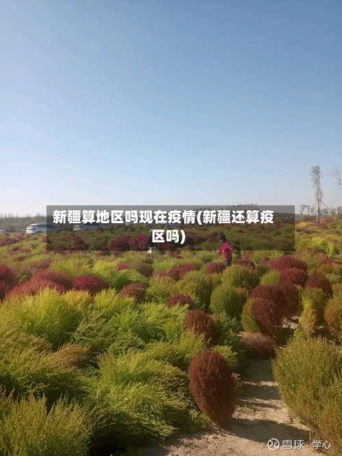 新疆算地区吗现在疫情(新疆还算疫区吗)-第2张图片