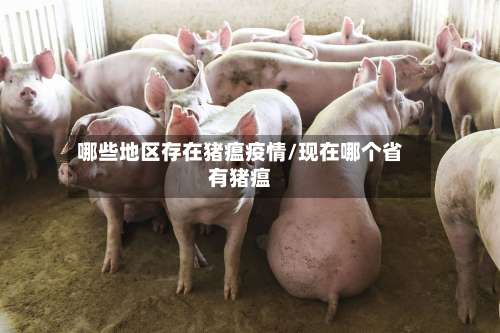 哪些地区存在猪瘟疫情/现在哪个省有猪瘟-第3张图片