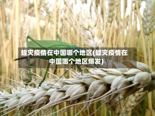 蝗灾疫情在中国哪个地区(蝗灾疫情在中国哪个地区爆发)-第1张图片