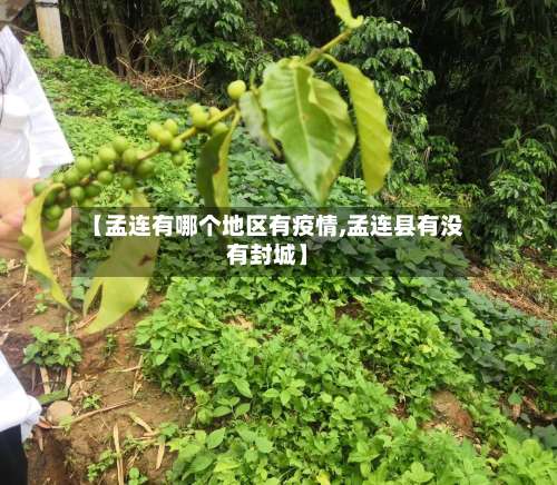 【孟连有哪个地区有疫情,孟连县有没有封城】-第1张图片