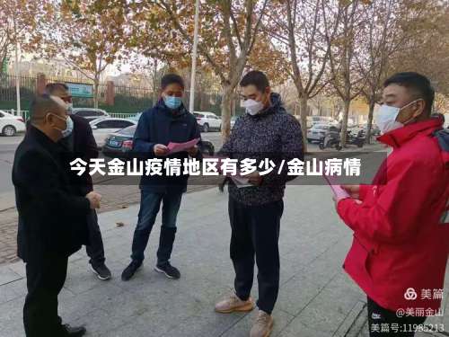 今天金山疫情地区有多少/金山病情-第1张图片