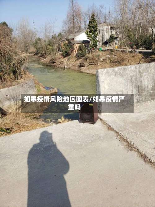 如皋疫情风险地区图表/如皋疫情严重吗-第1张图片