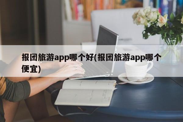报团旅游app哪个好(报团旅游app哪个便宜)
